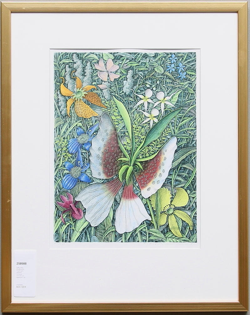 KARL-AXEL PEHRSSON. Färglitogarfi, signerad, numrerad 124/500 och daterad 81.