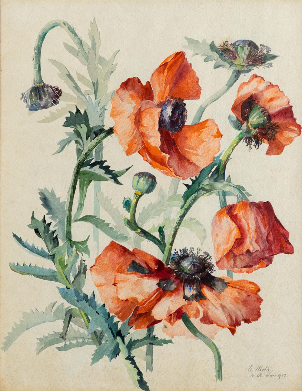 EMMA MOHR (1877-1967). poppies.