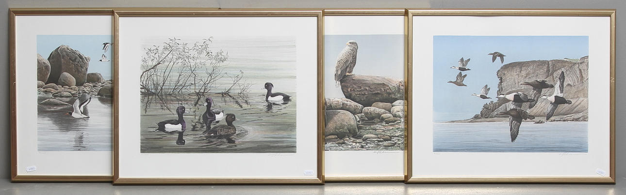 DAG PETTERSSON. Fågelmotiv, Litografier, 4 st. Signerade och numrerade.
