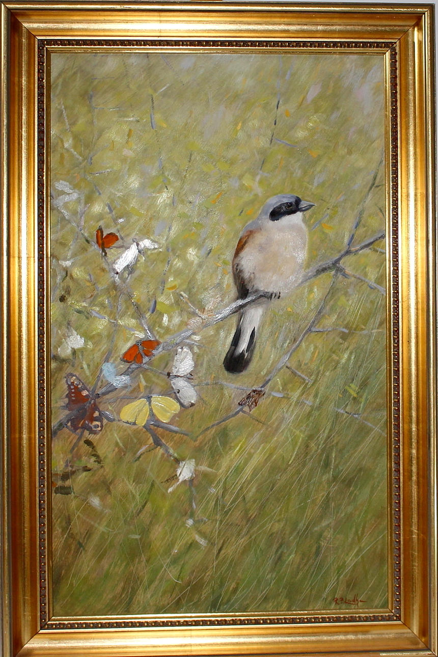 ROY BLADH. olja på pannå, nötväcka, signerad.