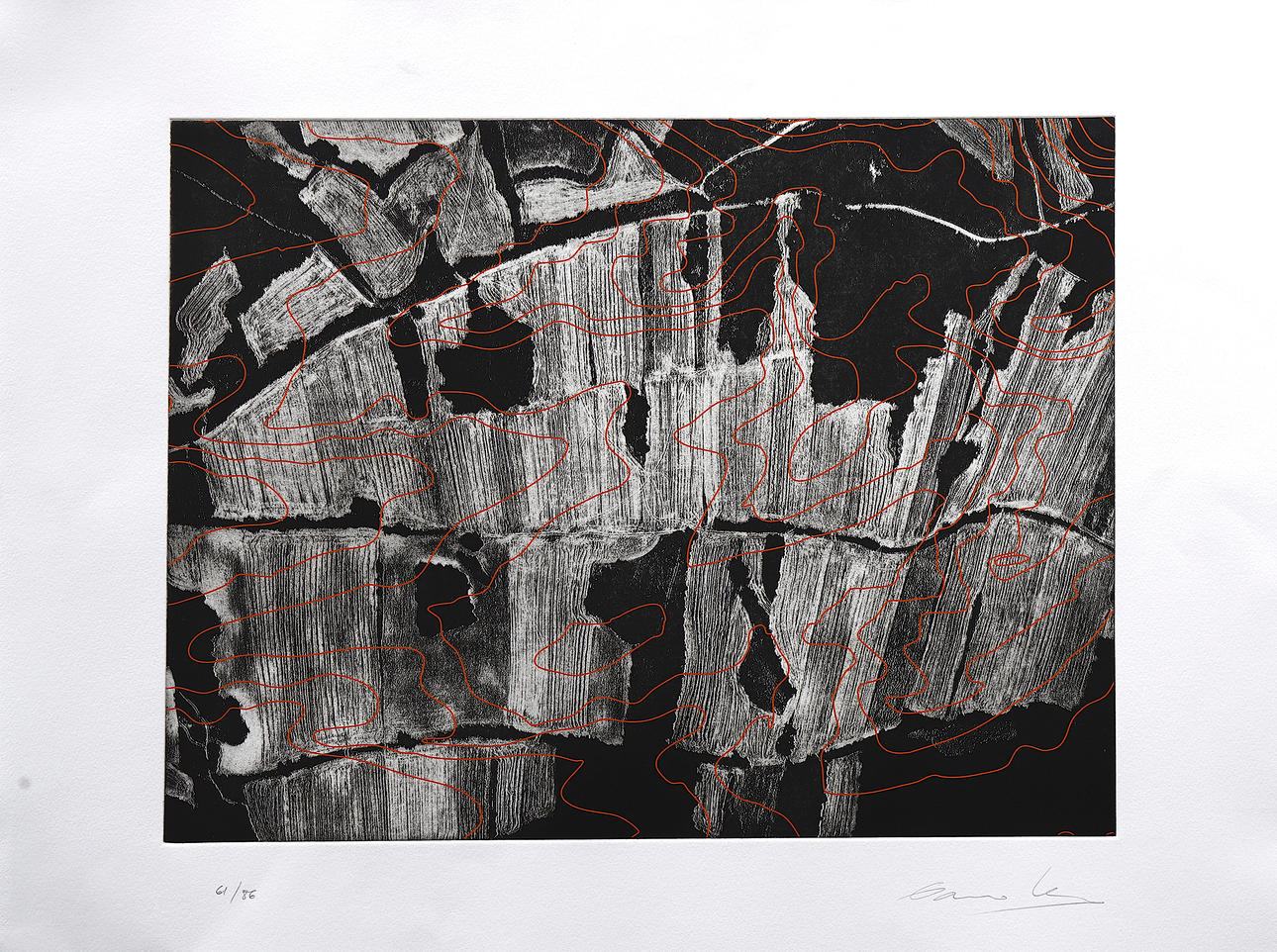 DARÍO URZAY. Sin título.