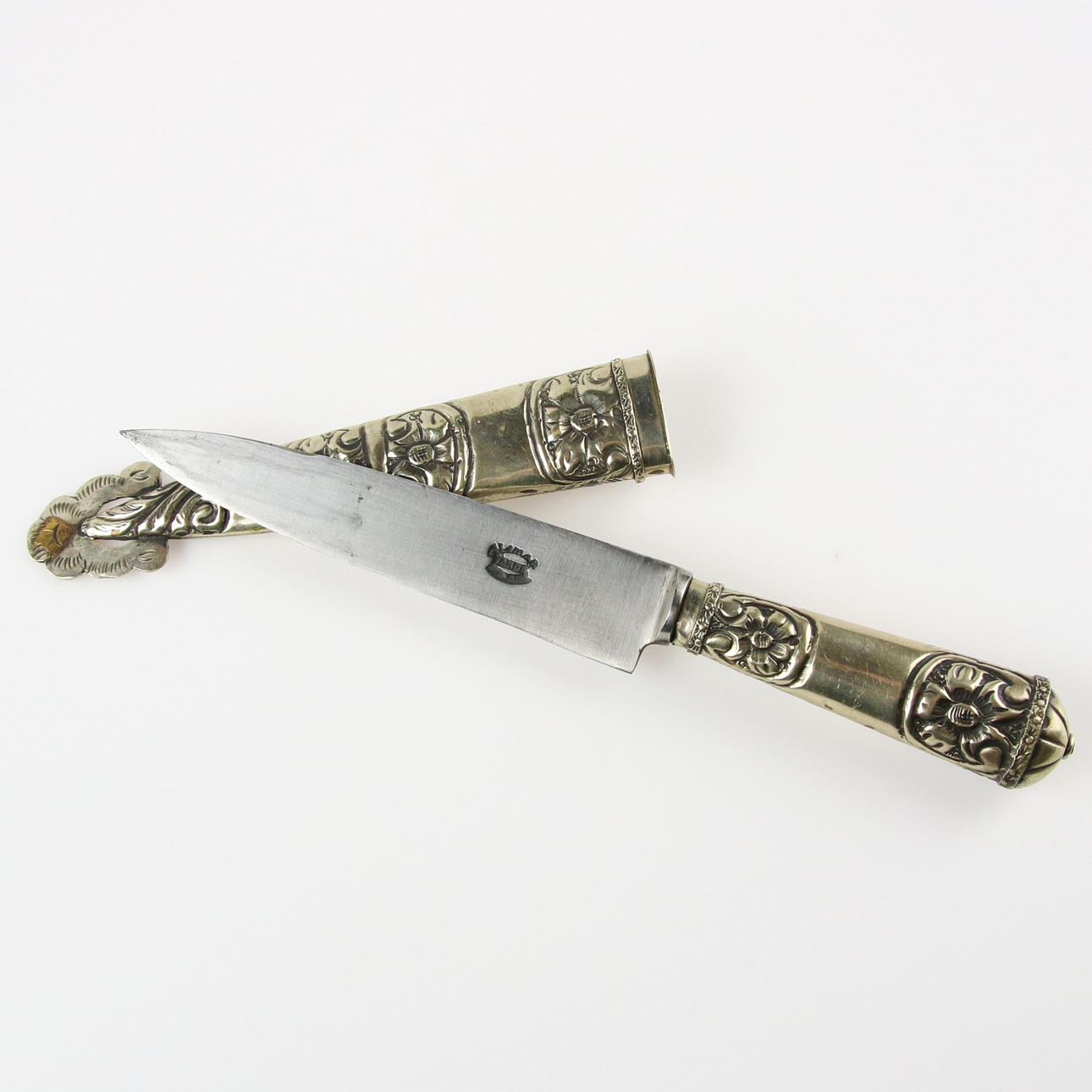 ALPACA, alpaca, Argentina.