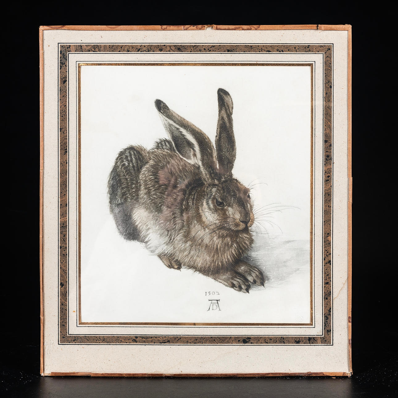 ALBRECHT DÜRER, Kunstdruck, "Junger Hase".