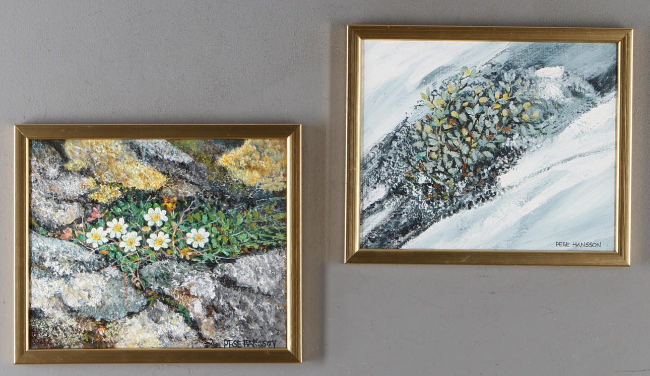 PEGE HANSSON. 2 st. Växter, olja på duk, signerade samt daterade a tergo 01.