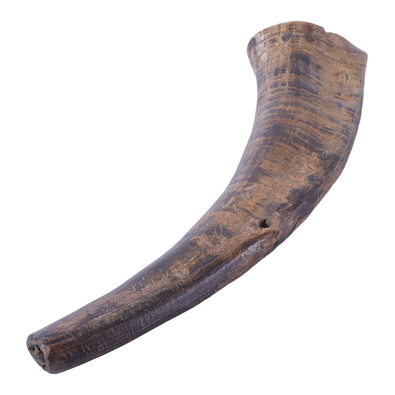 BLÅSHORN, horn, ålderdomlig.