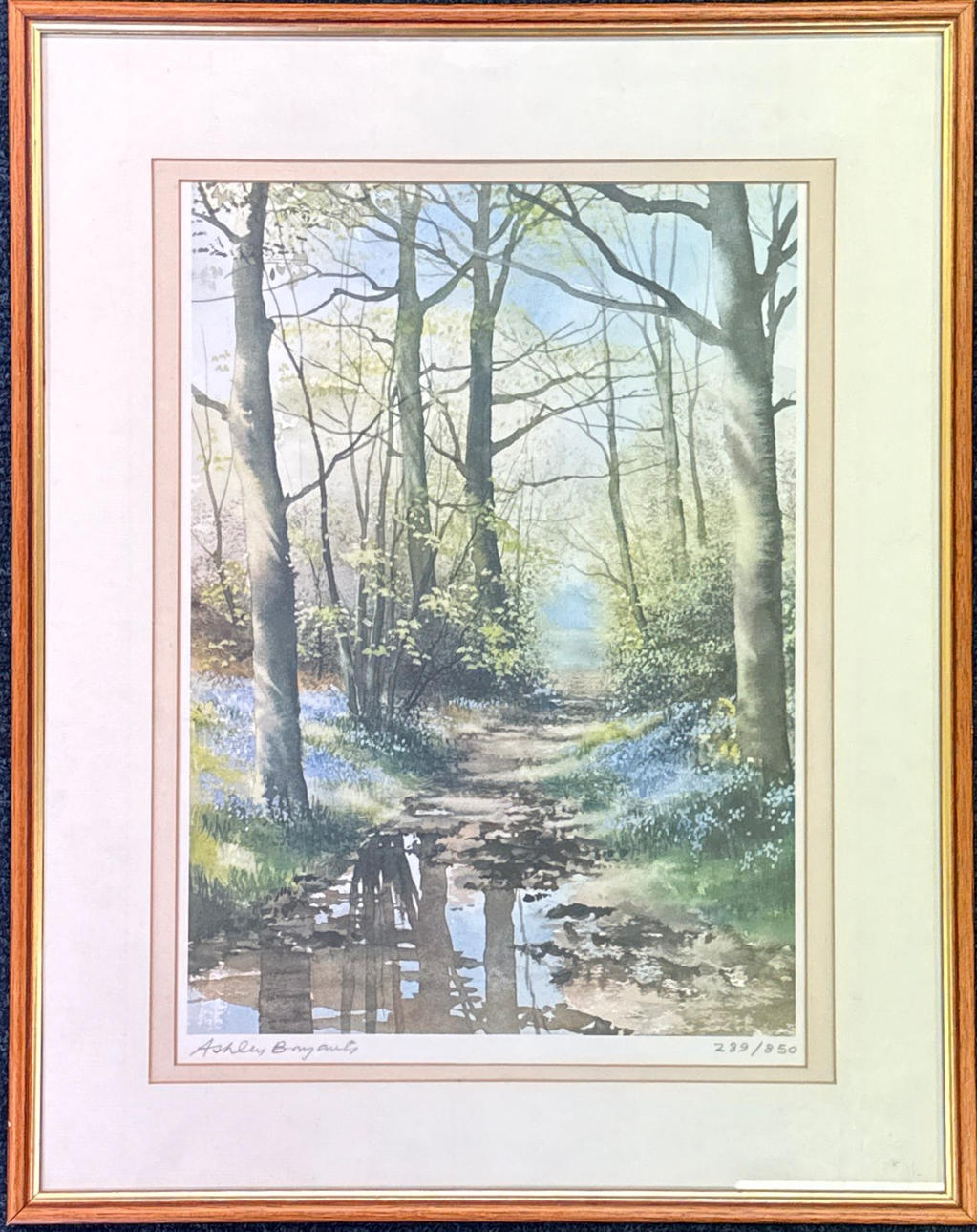 ASHLEY BRYANT. LIMITED EDITION WATERCOLOUR.