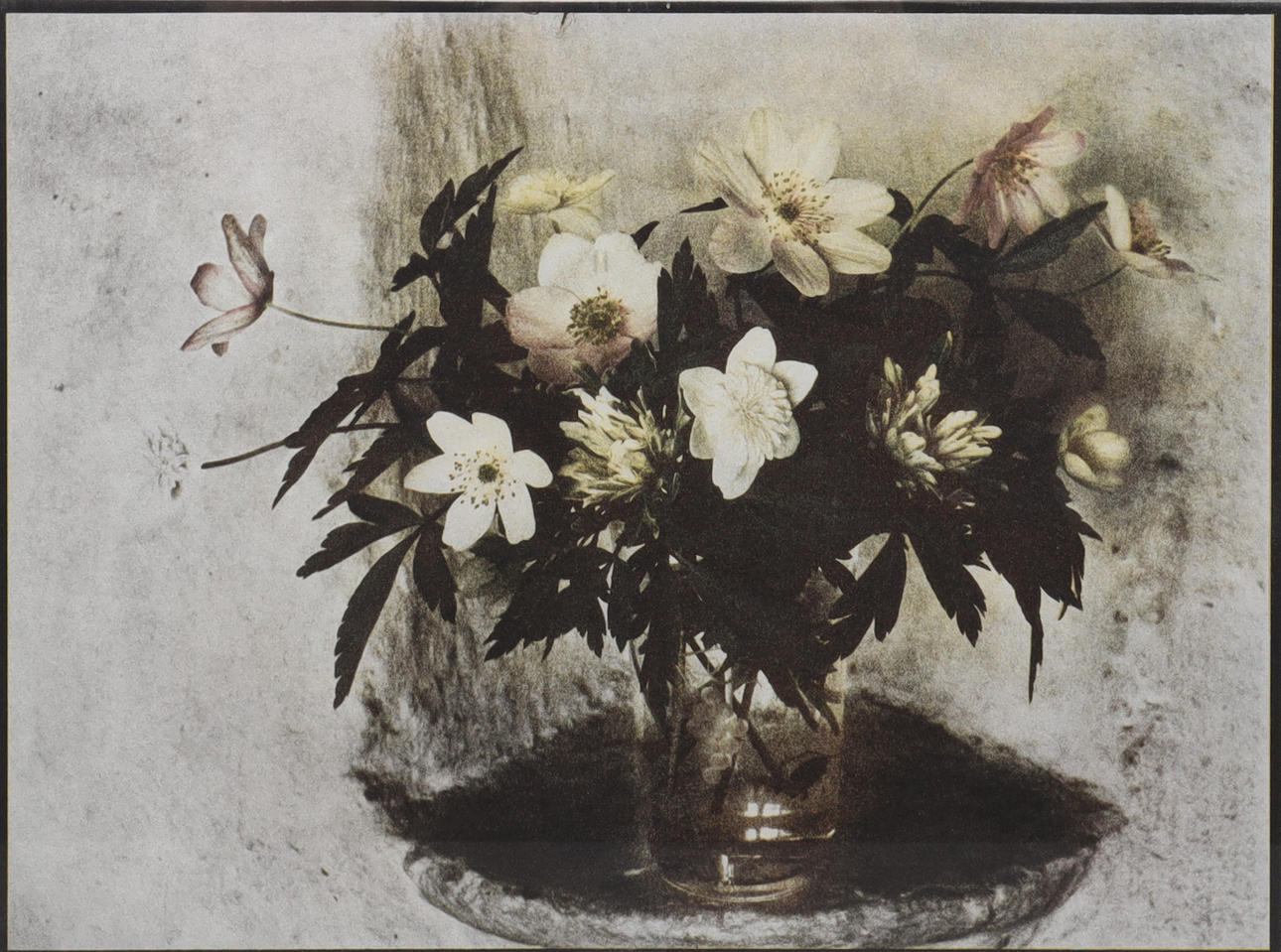 KARIN BERGLUND (FÖDD 1937). 'Vitsippor', gummitryk.