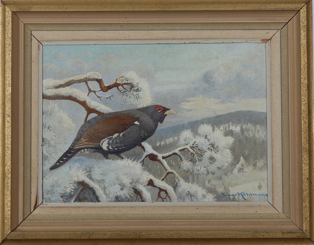 EJNAR KOHLMAN. Tjäder i vinterlandskap, olja på duk, signerad.