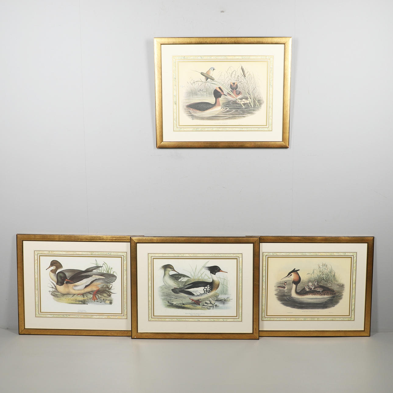 EFTER JOHN GOULD (1805-1881), SJÖFÅGLAR.