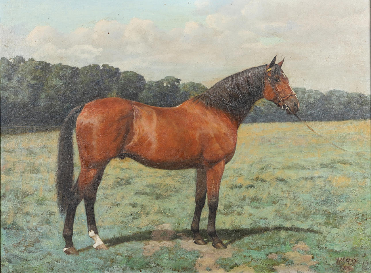 FRANCES MABEL HOLLAMS (1877-1963). THE STALLION `ISINGLASS`, WINNER OF THE TRIPLE CROWN IN 1893.