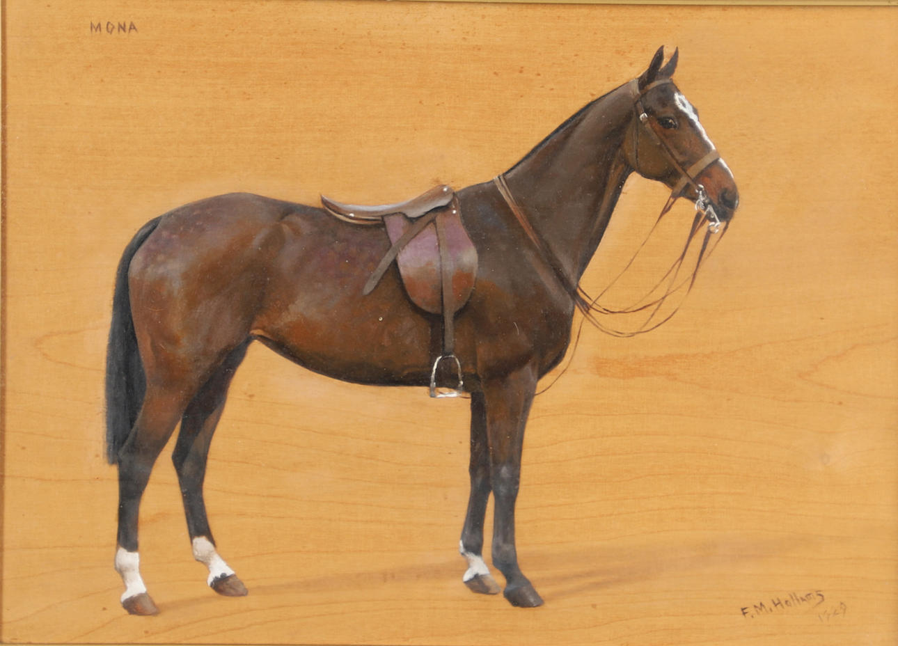 FRANCES MABEL HOLLAMS (1877-1963). MONA, A SADDLED DARK BAY HUNTER.