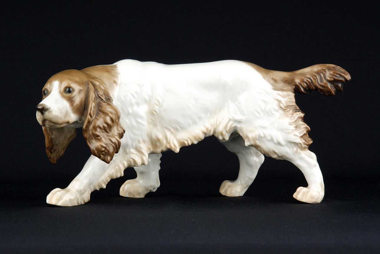 COCKER SPANIEL. porslin. Rosenthal, Tyskland. Längd 22 cm, höjd 10 cm. 1900-tal.