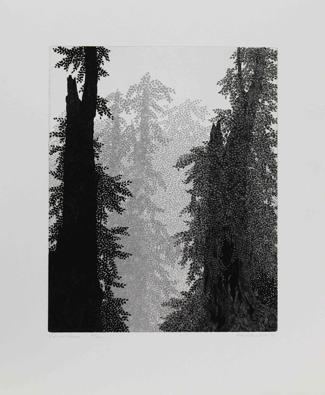 MAUD COMSTEDT. "Ljus och skugga". Etsning. Signerad och daterad -76. 69/200.