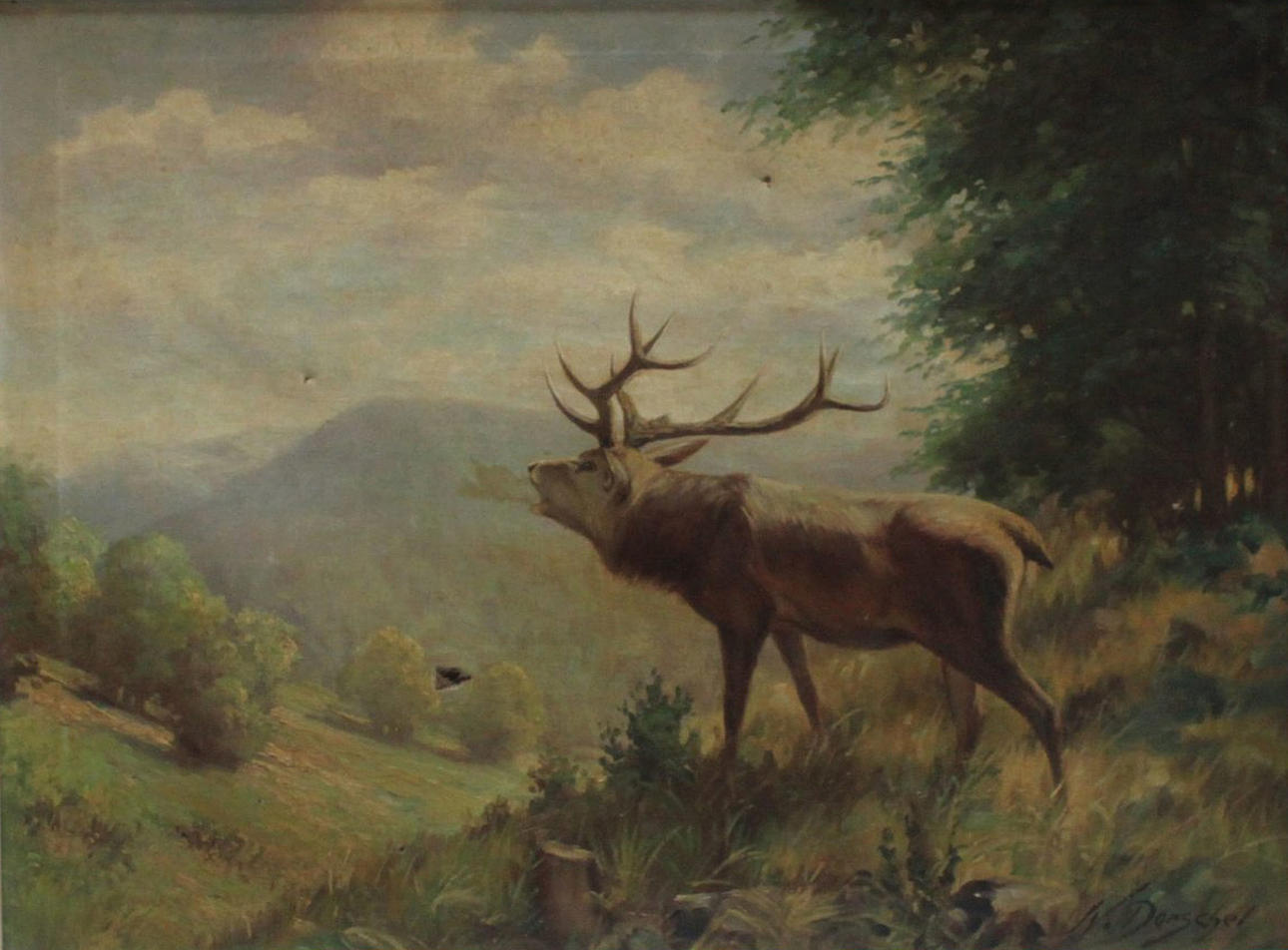 W. DOMSCHEL. Brølende rådyr.