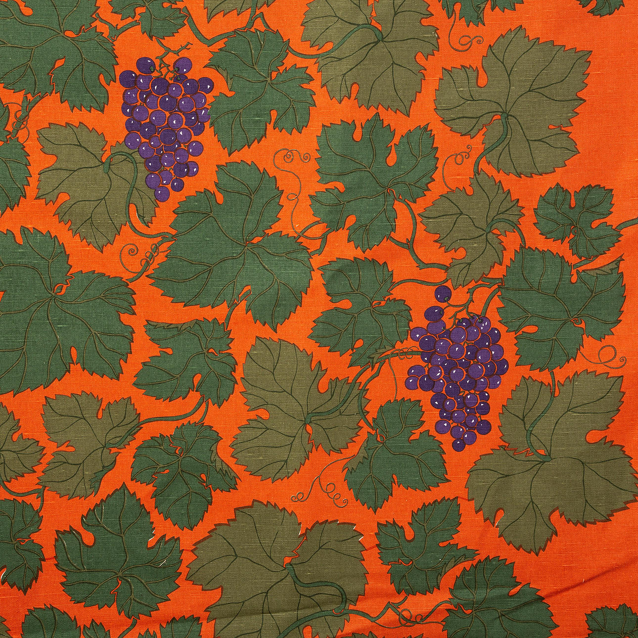 TYG, Maria Åström, Vindruvor.