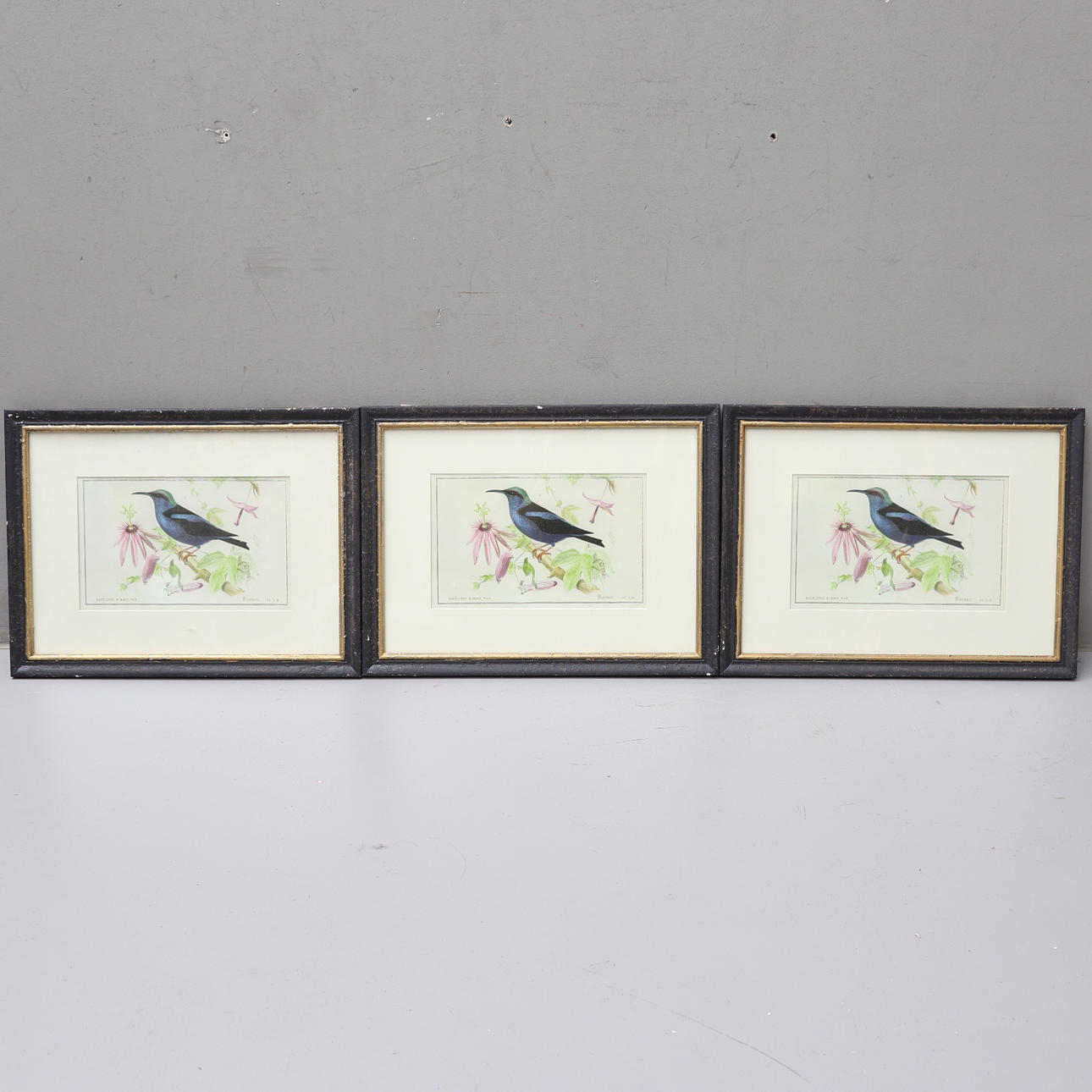 TRYCK, 3st, Oscar & Clothilde, Stockholm, samtida.