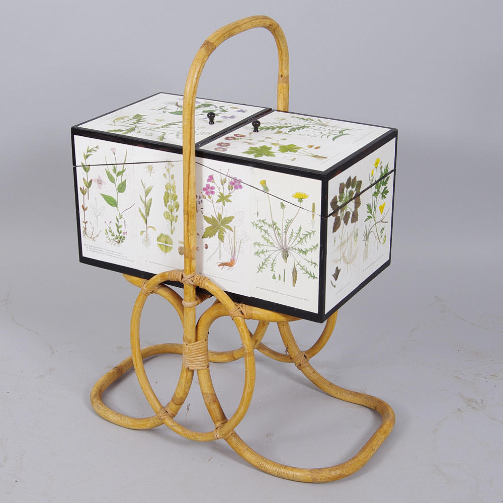 SYKORG, rotting, klätt med "Nordens Flora" C. A. M. Lidman.