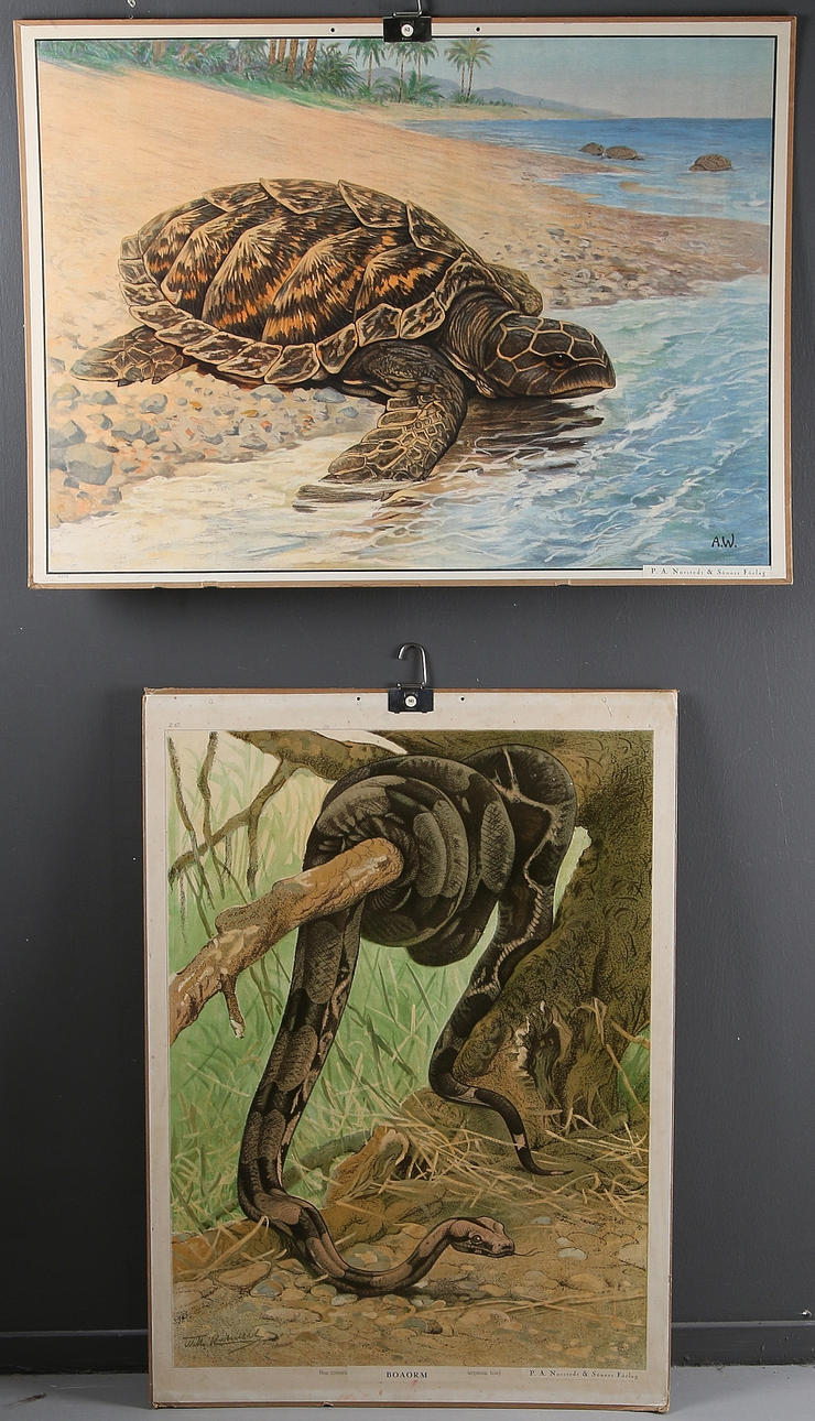 SKOLPLANSCHER, 2 st, 1900-talets första hälft.