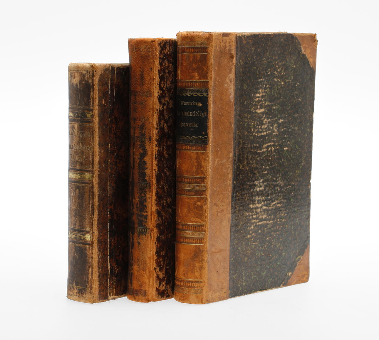 BÖCKER, 3 st, Botanik, 1800-tal.