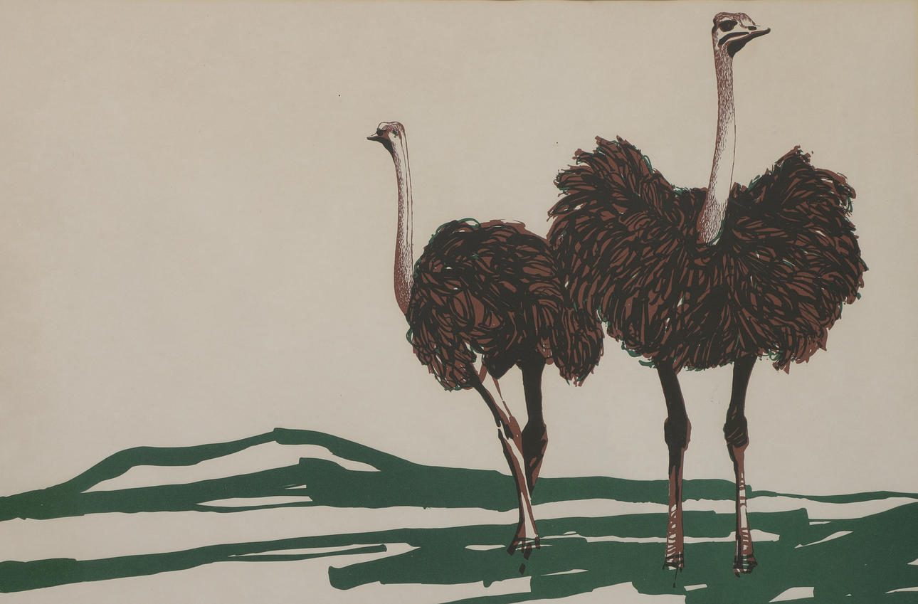 RUBEN FREIDWALL. Litografi, strutsar, signerad, 1967, numrerad 218/290 ...