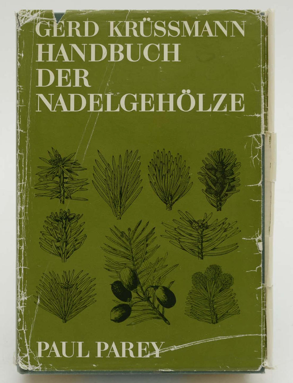 Handbuch der Nadelgehölze. Gerd Krüssmann.