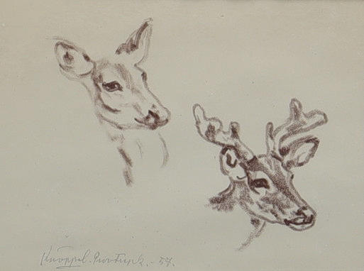 ARVID KNÖPPEL. Print, deer, signed and dated 1957.