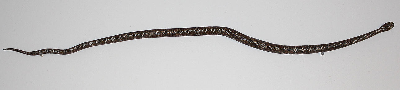 ORM, trä, Maija indian.