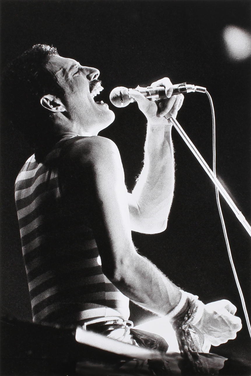 FOTOGRAFI, "Freddie Mercury", pigmentbläck på fotopapper, Bildbyrån Kamerareportage AB samlingar.