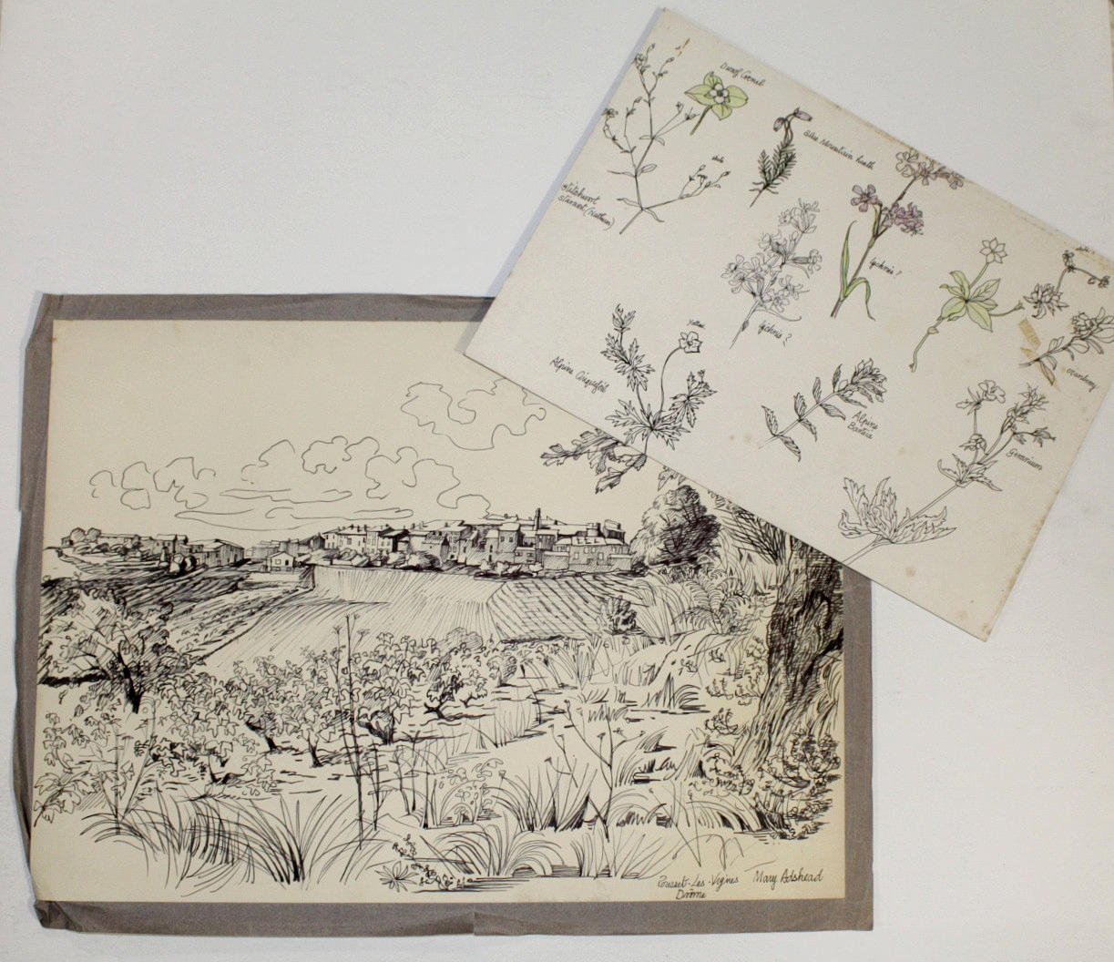 MARY ADSHEAD (1904-1995). A FOLIO OF ASSORTED DRAWINGS.