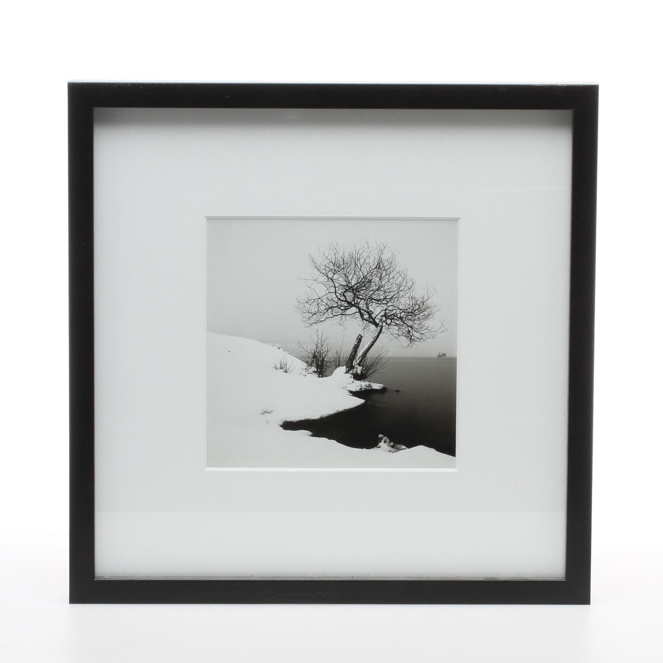 SEBASTIAN DAHLGREN. "Studie a träd 2" Hornstulls Strand 2010, fotografi, monogramsignerad.