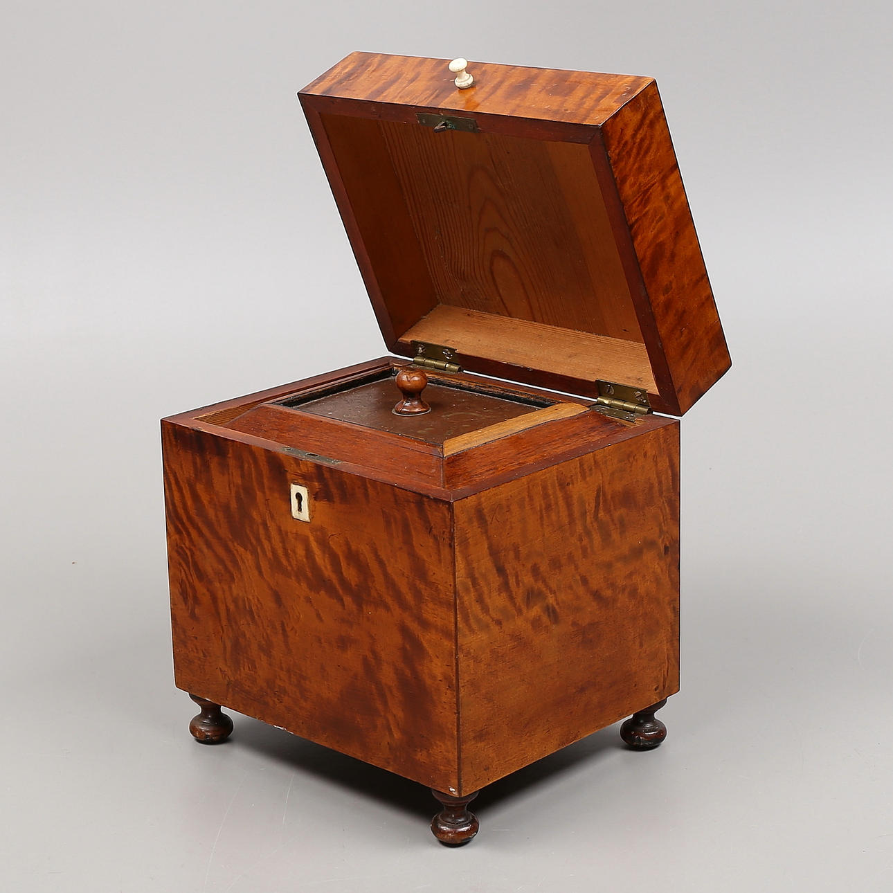 DOSE, Wurzelfurnier, 19. Jahrhundert.