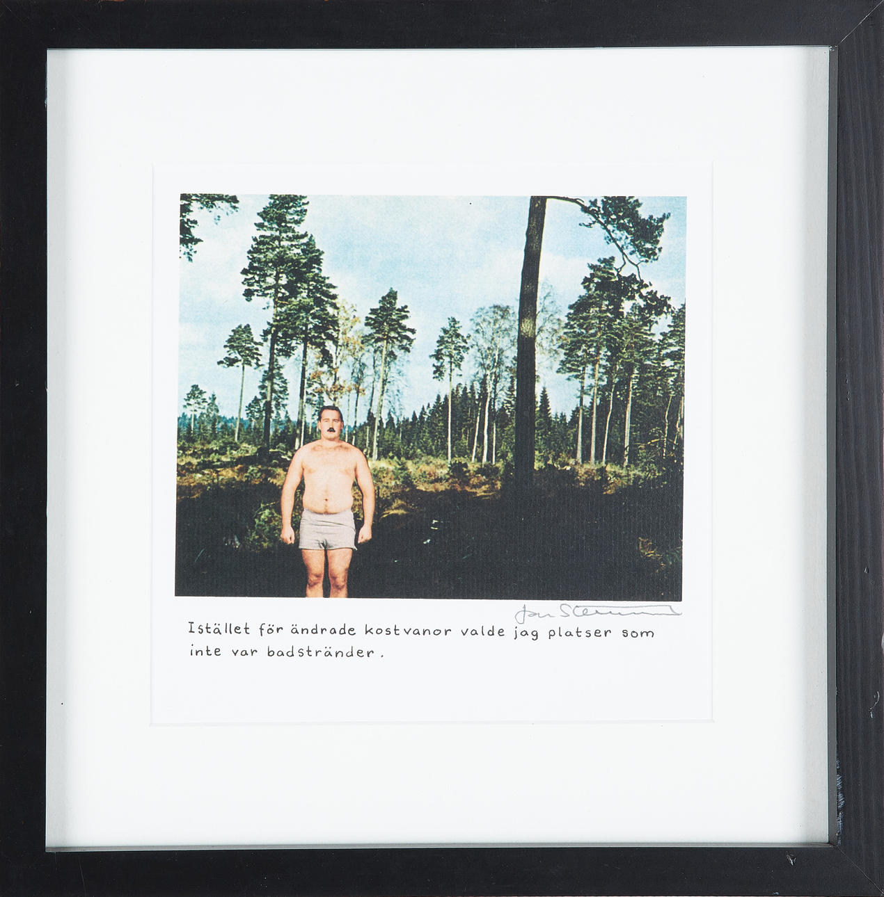 JAN STENMARK. väripoikkeama, signeerattu.