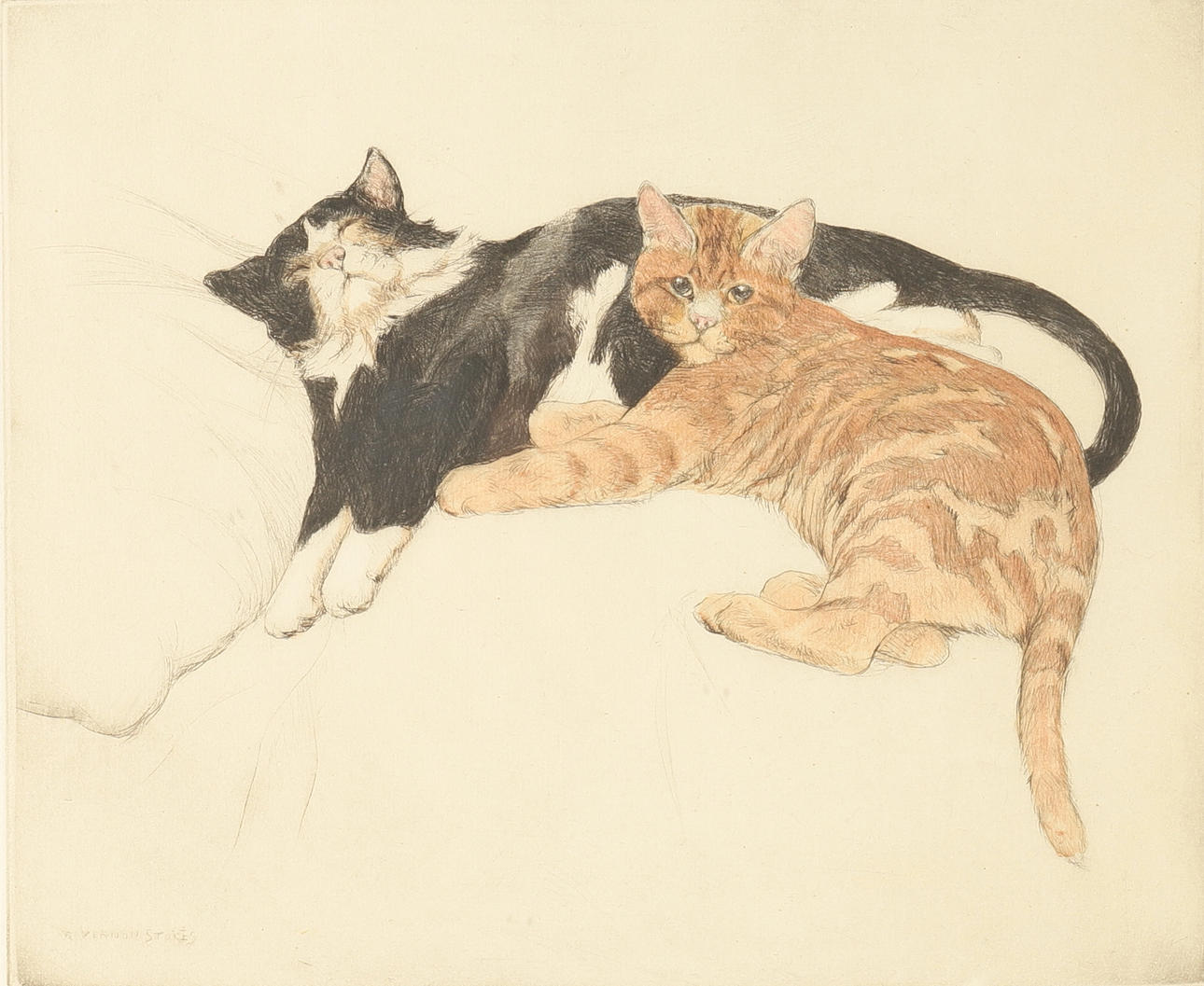 GEORGE VERNON STOKES (1873-1954). CATS. Art - Engravings & Prints ...