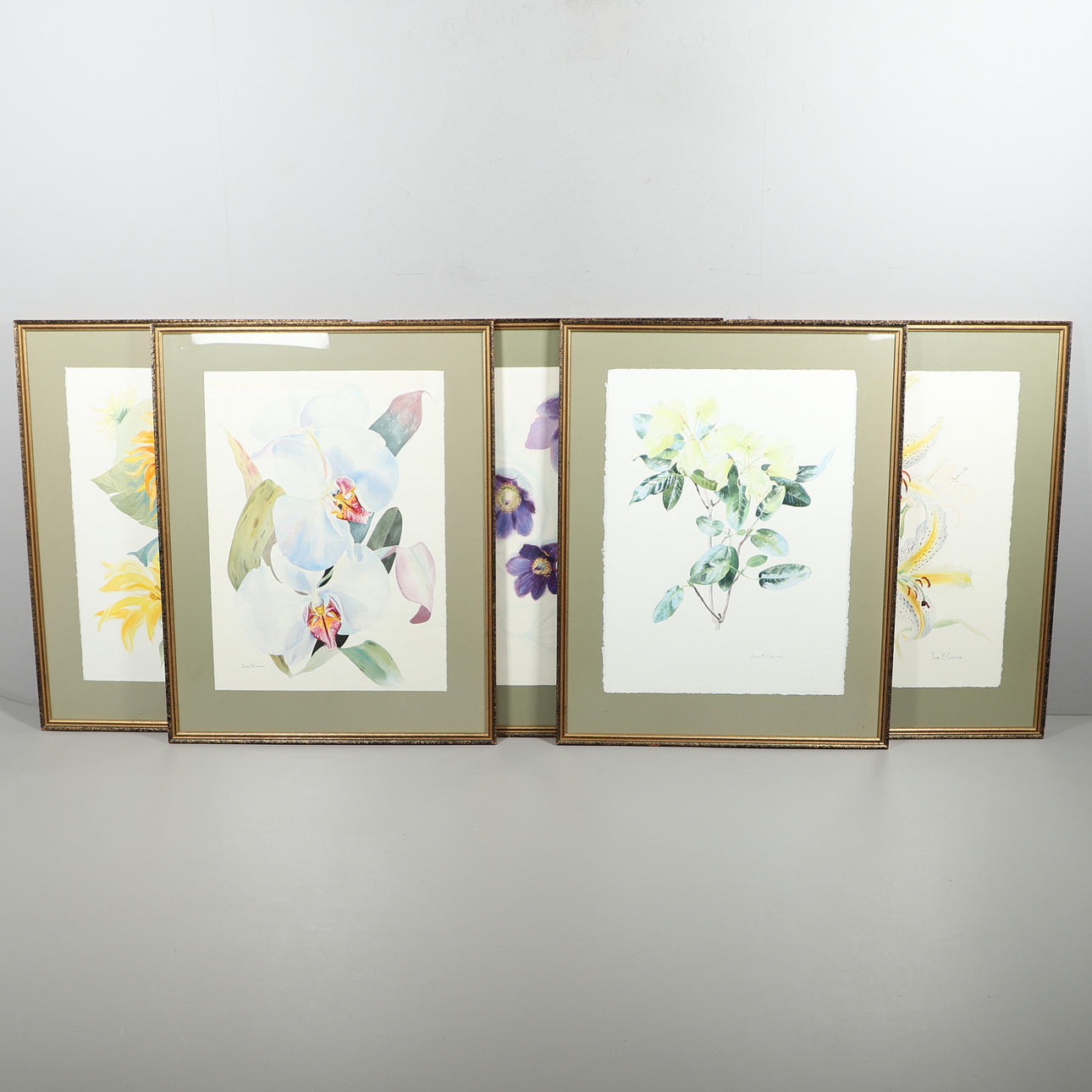 IVOR B. COBURN (B.1934). PASQUE FLOWER.