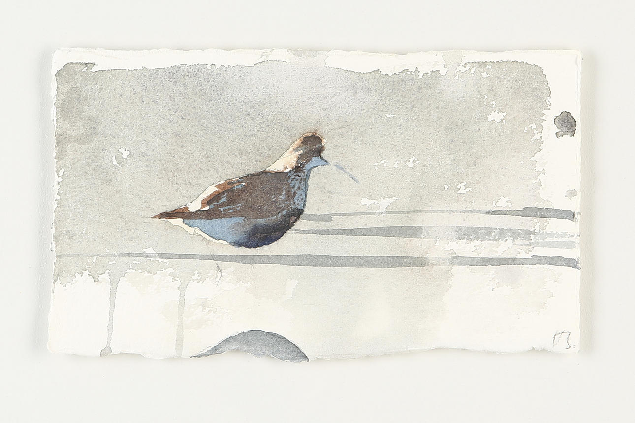 EMANUEL BERNSTONE. Bird composition, watercolor, signed.