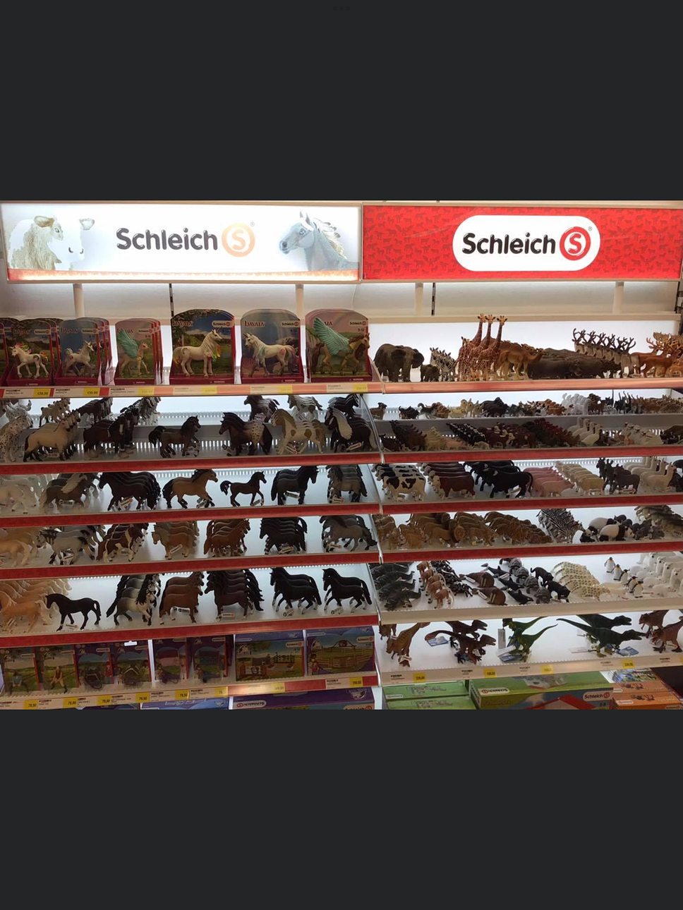 ELOGIO. Schleich, escaparate.