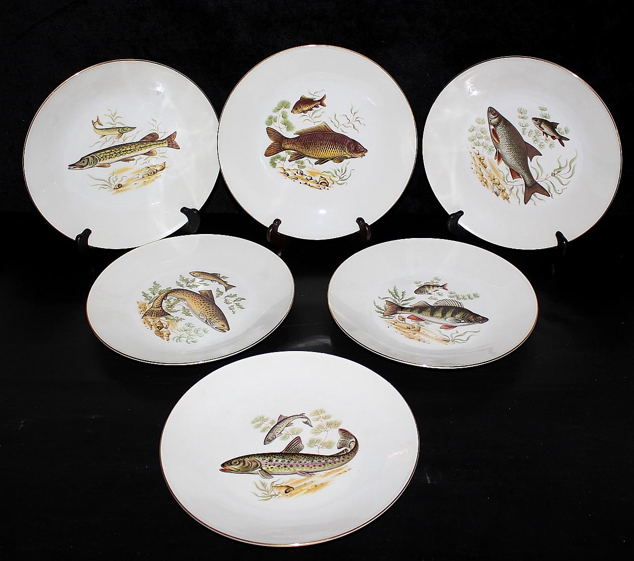 FISKTALLRIKAR, 6 st, Mitterteich, Bavaria.