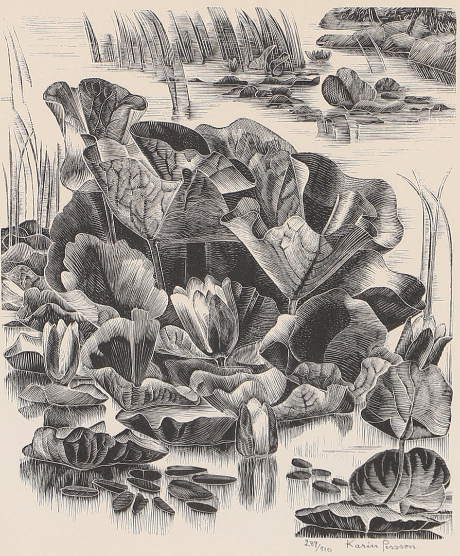 KARIN PERSSON. Water plants, lithograph, signed.