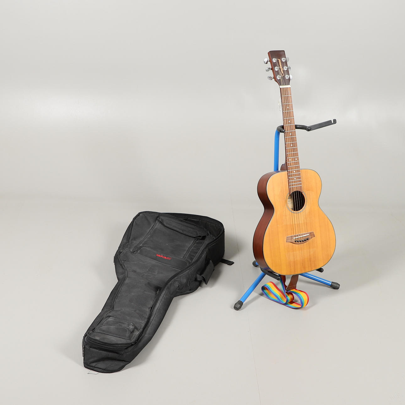 TANGLEWOOD TBF SAPLING AKUSTISCHE GITARRE.