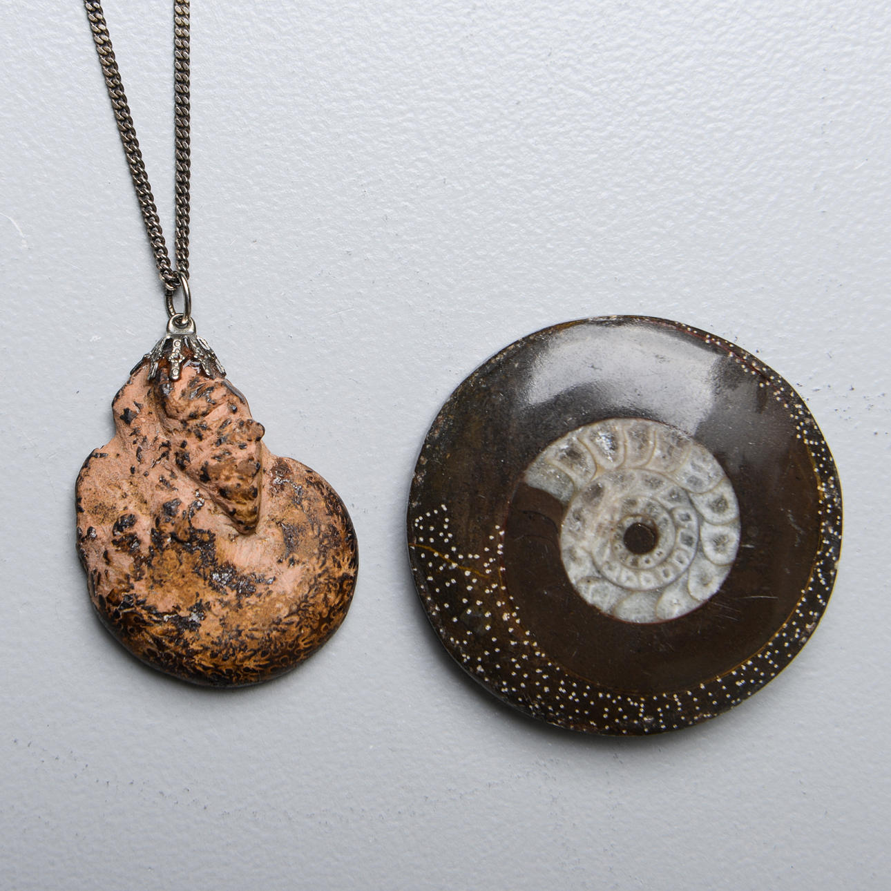 COLLAR y FÓSIL, plata y amonites.