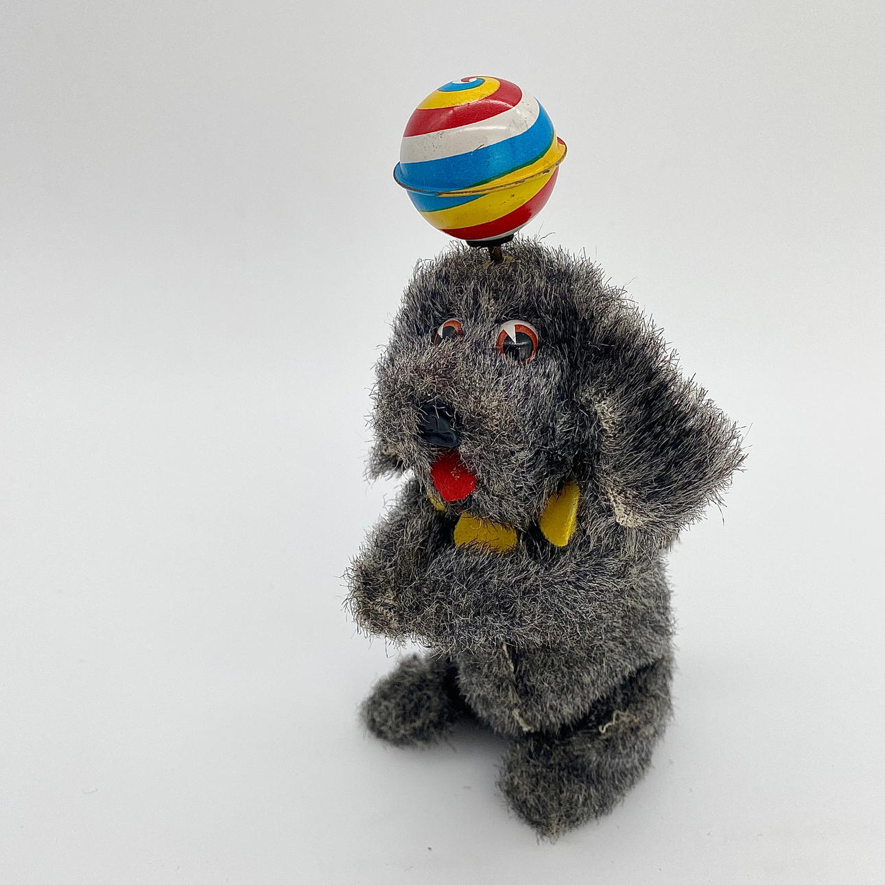 PERRO DE CIRCO DE CUERDA, años 50.