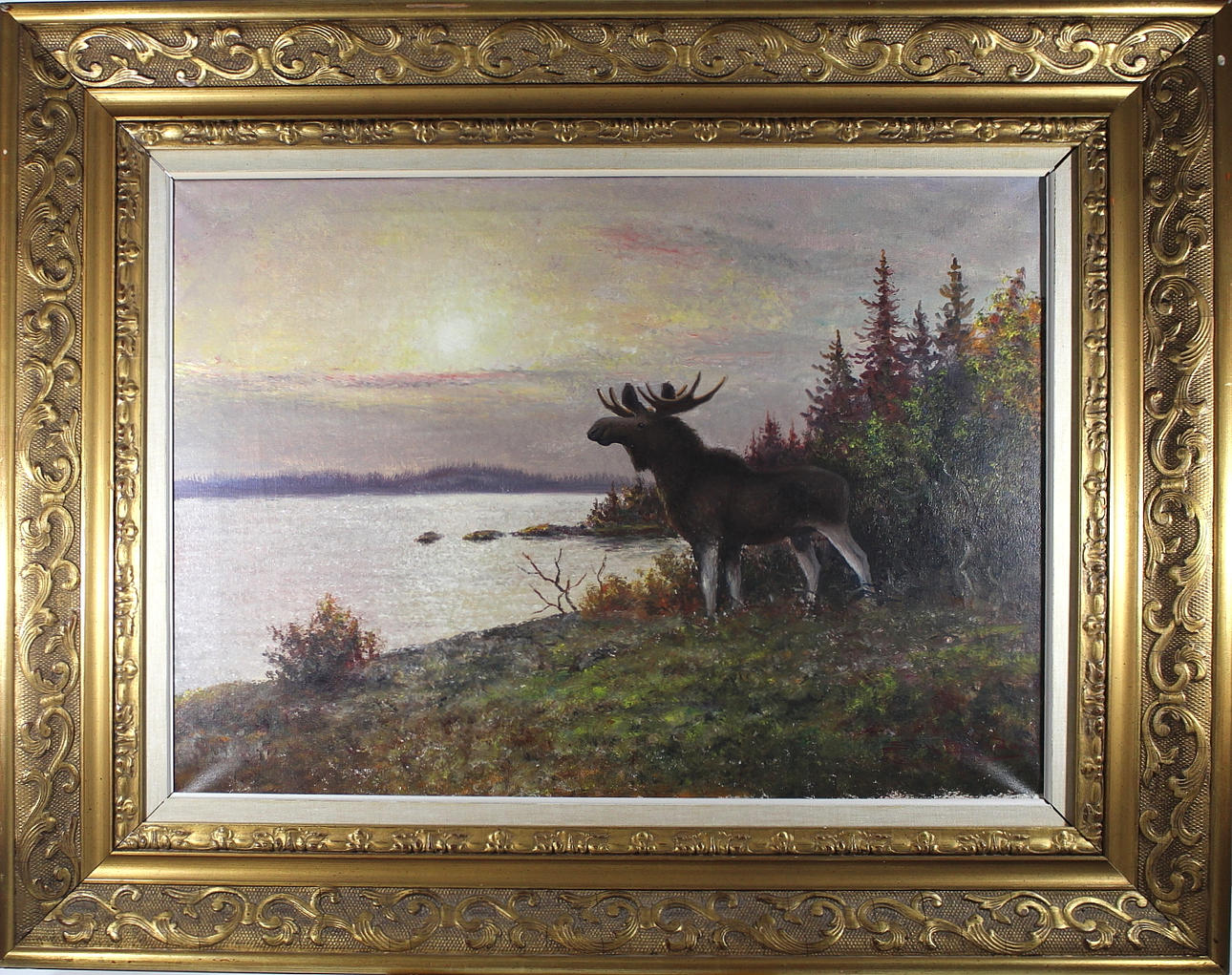 OIDENTIFIERAD KONSTNÄR. olja på, duk, älgmotiv, signerad.