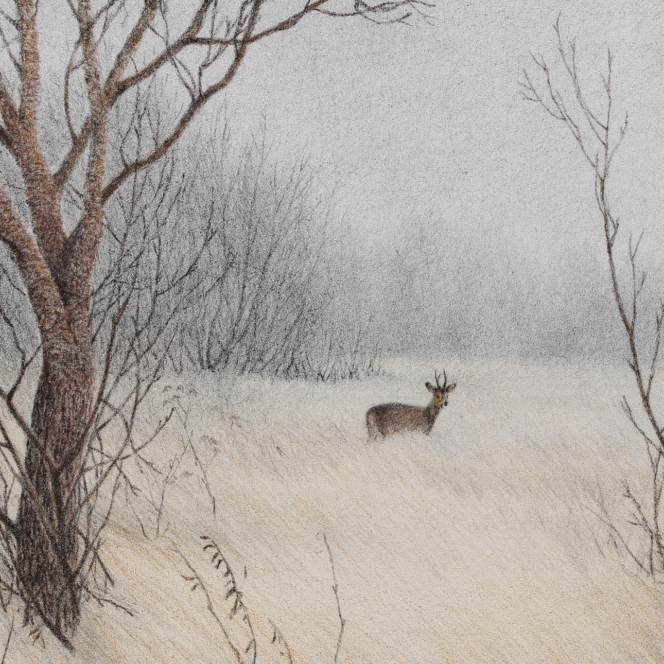 LENNART SAND. Färglitografi, "Rådjur", signerad samt numrerad 205/230.