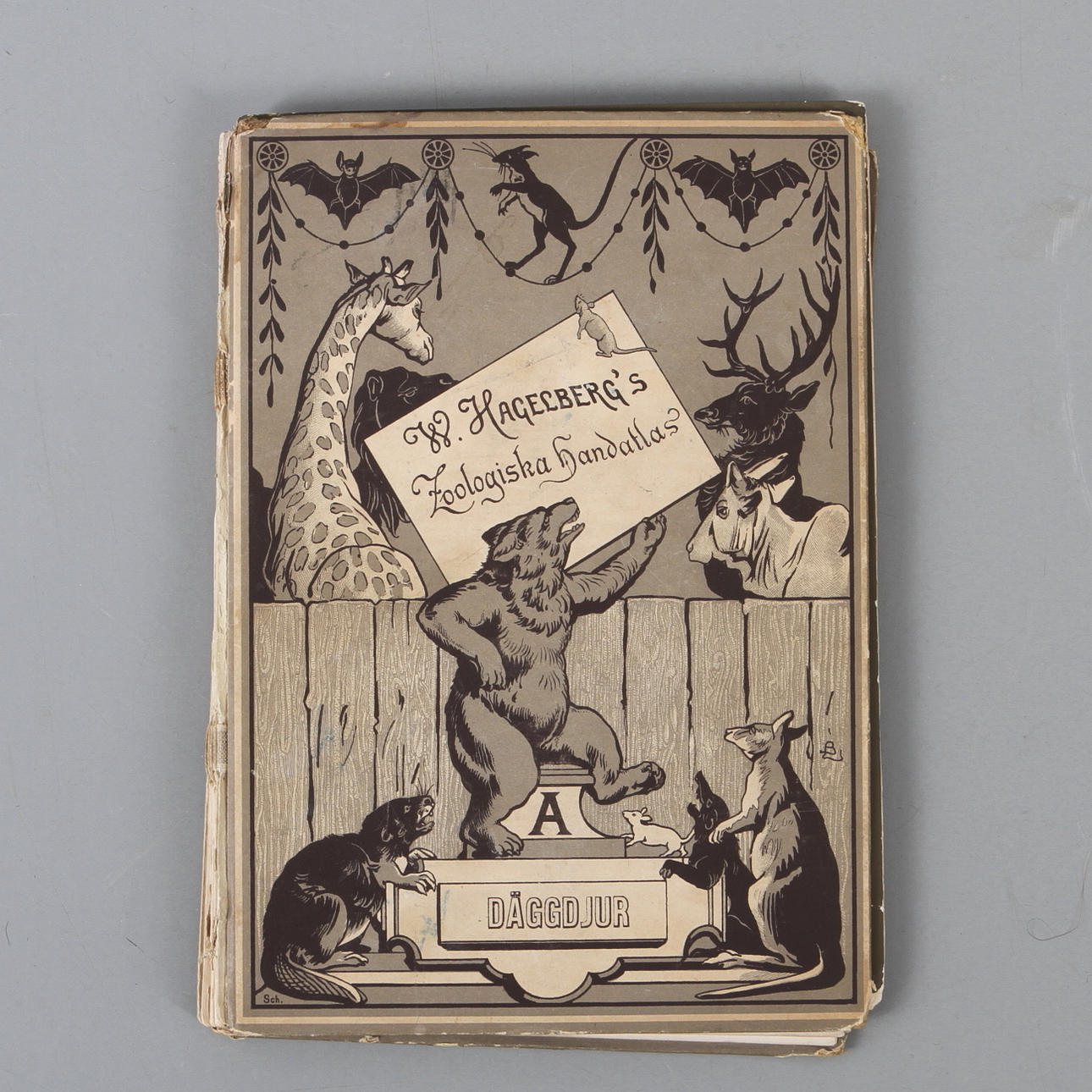 BOK, W. Hagelberg`s Zoologiska Handatlas, A Däggdjuren, Mammalia, Berlin, På eget förlag.