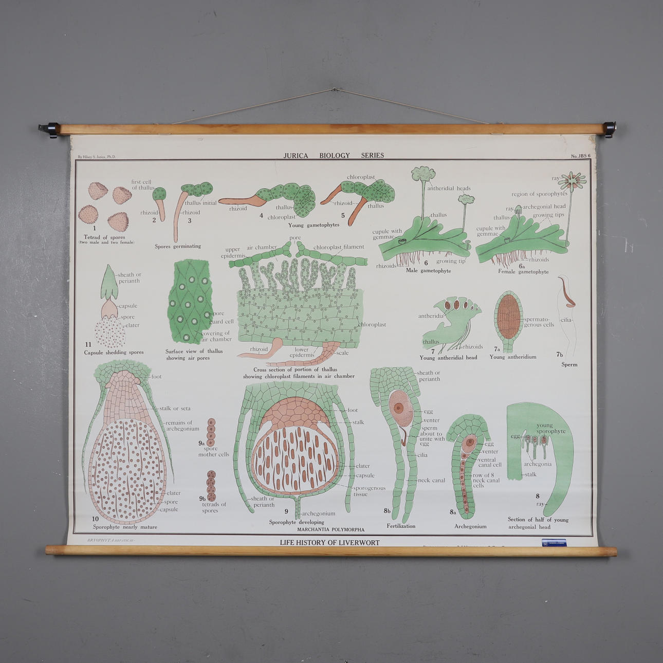 SKOLPLANSCHER, 4 st, Almqvist & Wiksell.