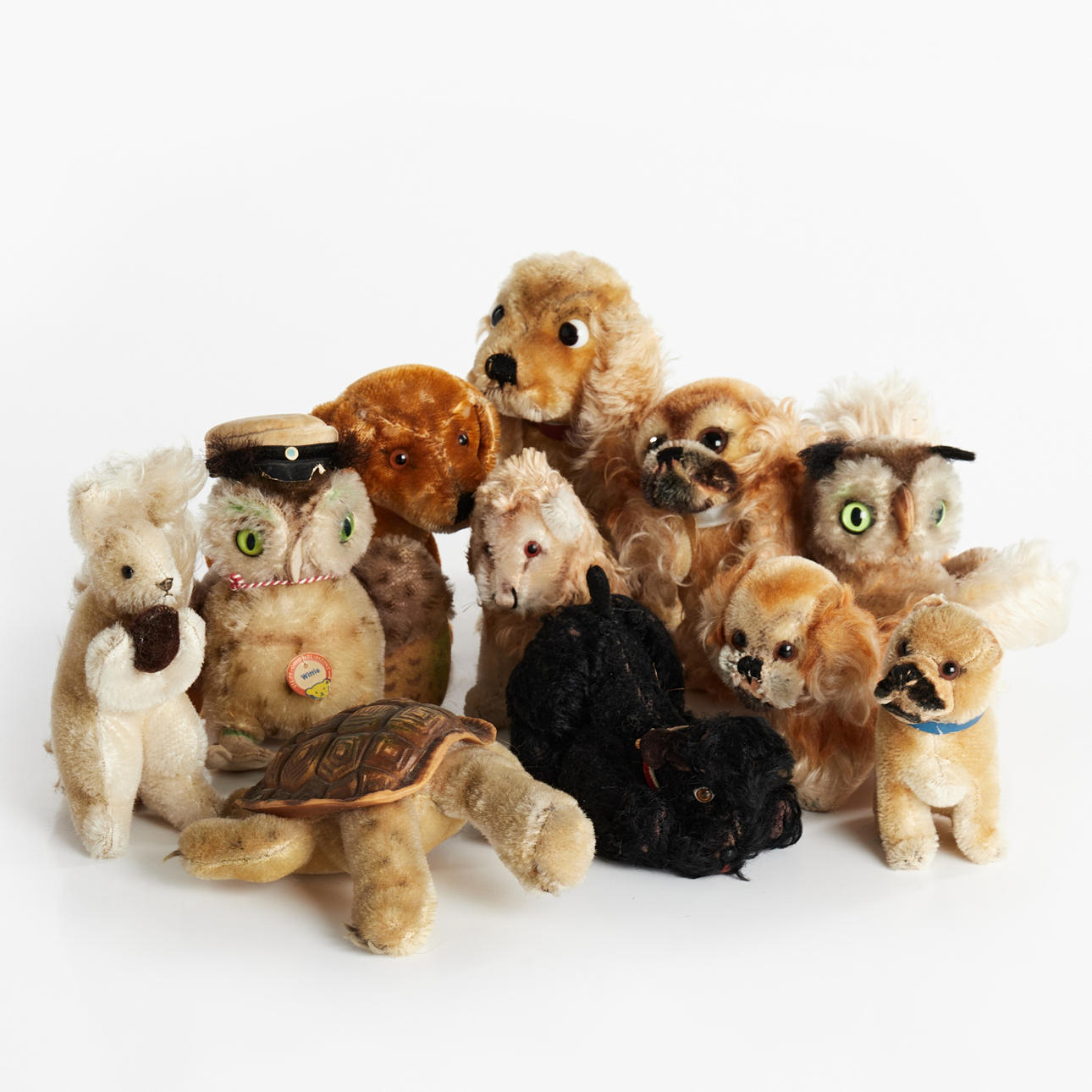 STEIFF, Kuscheltier, 11 Stück, Hunde, Schildkröte, Eule etc.