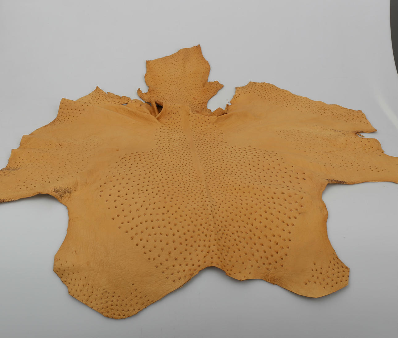 STRUTSSKINN, beige och blå, 2 stycken.