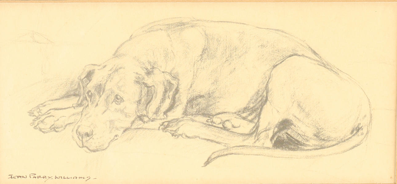 JEAN PARRY WILLIAMS. LIGGANDE HUND.