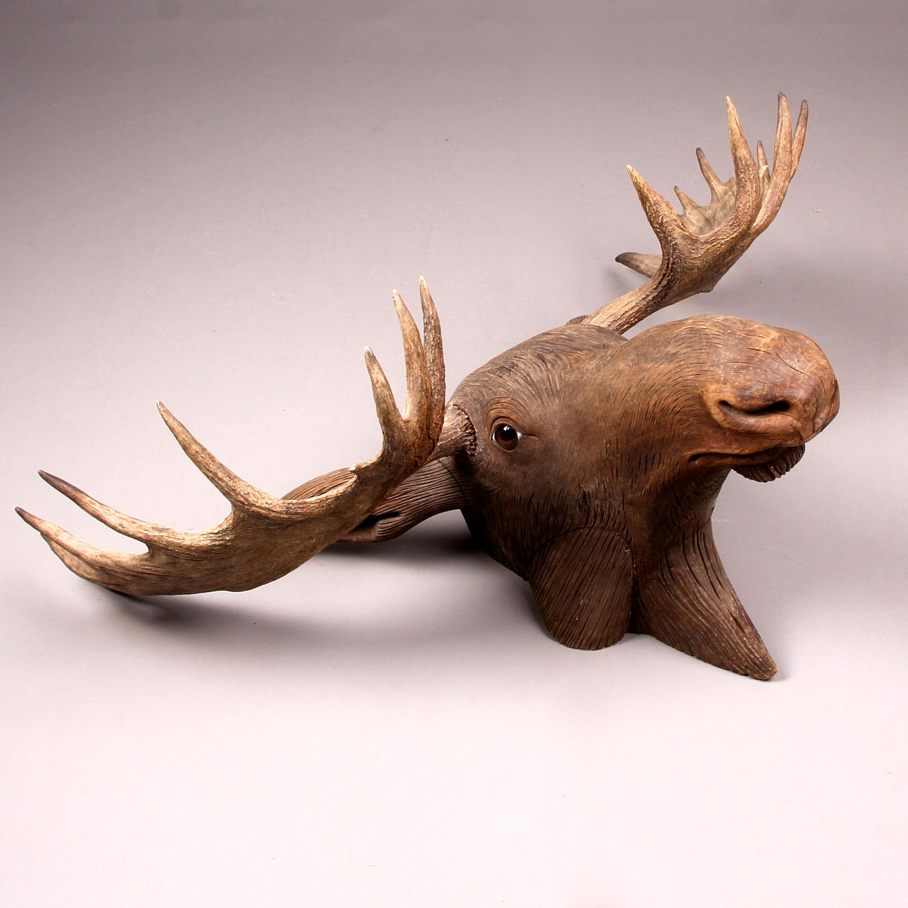 SKULPTUR, trä, älghuvud, 18-taggar.