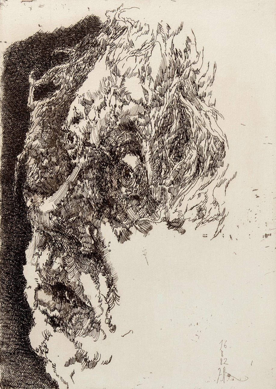 HORST JANSSEN (1929-1995). Ser.